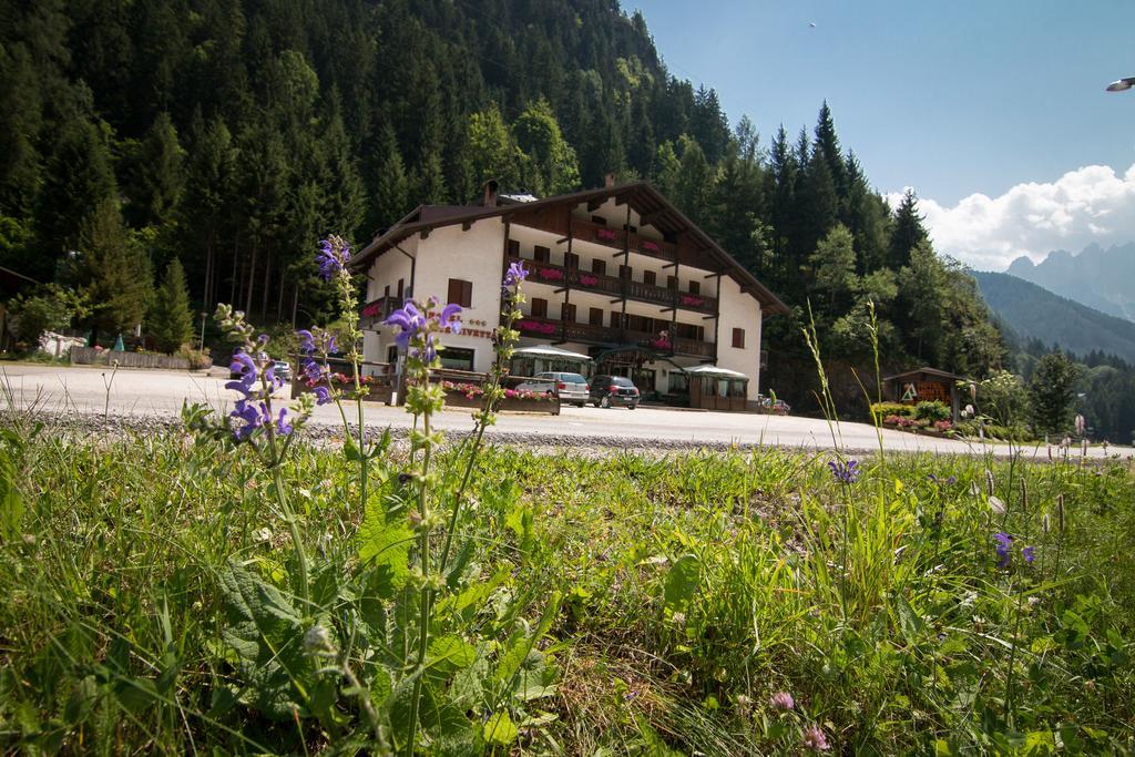 Hotel Monte Civetta Alleghe Buitenkant foto